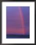 Rainbow (Television) by Norbert Rosing Limited Edition Print