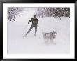 Ski Touring In Maine by Bill Curtsinger Limited Edition Print