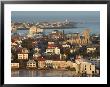 Tjorn And Reykjavik From Hallgrimskirkja, Reykjavik, Iceland by Jonathan Smith Limited Edition Print