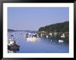 Lobster Boats In Stonington Harbor, Maine, Usa by Jerry & Marcy Monkman Limited Edition Print