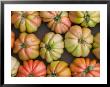 Tomatoes, Positano, Amalfi Coast, Campania, Italy by Walter Bibikow Limited Edition Print