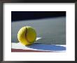 Tennis Ball by Mitch Diamond Limited Edition Pricing Art Print