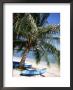 Beach With Palm Tree And Kayak, Punta Soliman, Mayan Riviera, Yucatan Peninsula, Mexico by Nelly Boyd Limited Edition Print