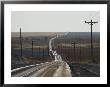 Telephone Poles Line A Dirt Road That Extends To The Horizon by Robert Madden Limited Edition Print