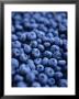 Blueberries (Filling The Picture) by David Loftus Limited Edition Print