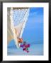Woman On Hammock, Ari Atoll, White Sands Island by Angelo Cavalli Limited Edition Pricing Art Print