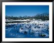 People Ice Skating In Central Park, New York City, New York, Usa by Bill Wassman Limited Edition Print