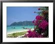 Boats Moored Off Beach Of Phi Phi Don Island, Off Phuket, Thailand by Ruth Tomlinson Limited Edition Print