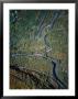 Switchbacks On Road 63 To Geirangerfjord, Geiranger, Norway by Anders Blomqvist Limited Edition Print