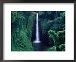 Sopo'aga Falls Dropping 50M Into Gorge, Upolu, Samoa, Upolu by Tony Wheeler Limited Edition Print