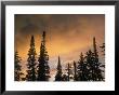 Yellowstone National Park, Wy by Charlie Borland Limited Edition Print