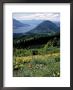 Columbia River Gorge, Gifford Pinchot Nf, Wa by Bob Leroy Limited Edition Print