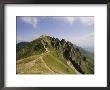 Summit Of Puy De Sancy, Puy De Dome, Park Naturel Regional Des Volcans D'auvergne, France by David Hughes Limited Edition Pricing Art Print