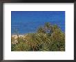 Aerial View Of Vai Beach And Palm Trees, Eastern Crete, Island Of Crete, Greece by Marco Simoni Limited Edition Print