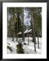 A Summer Holiday Cottage During The Spring Thaw, Kuihmo Province, Finland, Scandinavia by Jean-Luc Brouard Limited Edition Print