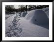 Mounds Of Snow Cover Cars On An Unplowed Street After A Bad Storm by Stephen St. John Limited Edition Print