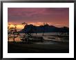 Sunset Over Telok Assam With Santubong In The Background, Bako National Park, Malaysia by Mark Daffey Limited Edition Print