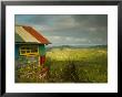 Rastafarian Museum, Barbados, Caribbean by Walter Bibikow Limited Edition Pricing Art Print