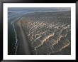 Aerial View Of Windblown Pacific Coast Sand Dunes by Annie Griffiths Belt Limited Edition Print