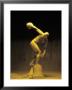 Nude Man Painted Gold Posing As A Statue by Jim Mcguire Limited Edition Print