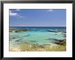 Beach & Lowlands, Galapagos, Ecuador by David M. Dennis Limited Edition Pricing Art Print
