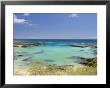 Beach & Lowlands, Galapagos, Ecuador by David M. Dennis Limited Edition Print