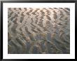 Ripple-Patterned Tidal Flat At Low Tide by Darlyne A. Murawski Limited Edition Pricing Art Print