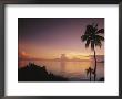 Palm Trees Silhouetted Against Sky And Ocean At Sunrise by Mark Cosslett Limited Edition Print