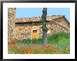 Abandoned Villa With Red Poppies, Tuscany, Italy by Julie Eggers Limited Edition Print