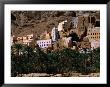 Typical Hadramawt Village With Date Plantation In Foreground, Wadi Daw'an, Yemen by Frances Linzee Gordon Limited Edition Pricing Art Print