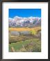 Ohio Creek Road, Near Crested Butte, Colorado, Usa by Rob Tilley Limited Edition Print