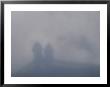 Illusion Known As Brocken Ghost, On Brocken Mountain by Norbert Rosing Limited Edition Print