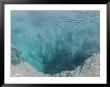 The Black Pool, West Thumb Geyser Basin, Yellowstone National Park by Norbert Rosing Limited Edition Print