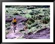 Mountain Biker Riding Into Town Of Real De Catorce, Mexico by Alexander Nesbitt Limited Edition Print