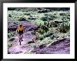 Mountain Biker Riding Into Town Of Real De Catorce, Mexico by Alexander Nesbitt Limited Edition Pricing Art Print