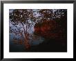 A Bit Of Island Juts Out Into Lake Superior by Raymond Gehman Limited Edition Print