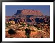 Colorado Overlook, Needles Area, Canyonlands National Park, Utah, Usa by Carol Polich Limited Edition Print