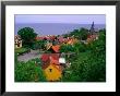 Rooftops Nestled Amongst Trees, Gudhjem, Bornholm, Denmark by Anders Blomqvist Limited Edition Print