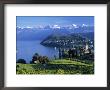Spiez, Lake Thun, Berner Oberland, Switzerland by Peter Adams Limited Edition Print