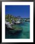 Xelha Marine Park, Cancun, Mexico by Angelo Cavalli Limited Edition Print