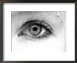 Close-Up Of Woman's Eye by Fabrizio Cacciatore Limited Edition Pricing Art Print