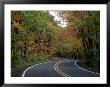 Empty Road Surrounded By Fall Foliage, Upper Mi by Charles Benes Limited Edition Pricing Art Print