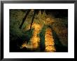 Columns And Domes In The Big Room, Carlsbad Caverns National Park, New Mexico, Usa by Scott T. Smith Limited Edition Print