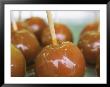 Carmel Apples At A County Fair by Heather Perry Limited Edition Print
