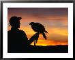 Man Holding A Falcon At Sunset, Perquin, El Salvador by Alfredo Maiquez Limited Edition Print