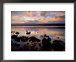 Loch Ness At Dawn by Iain Sarjeant Limited Edition Print