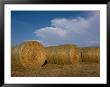 Straw Bales On A Hog Farm In Kansas by Joel Sartore Limited Edition Print