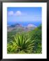 View From Green Mountain, Ascension Island, Mid-Atlantic by Geoff Renner Limited Edition Print