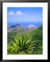 View From Green Mountain, Ascension Island, Mid-Atlantic by Geoff Renner Limited Edition Print