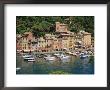 Portofino, Riviera Di Levante, Liguria, Italy by Gavin Hellier Limited Edition Print